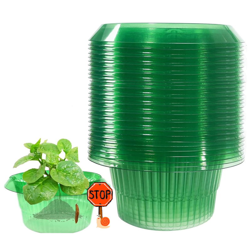 5-25 Buah Cincin Pelindung Sip - Plant Parents ulasan dan harga