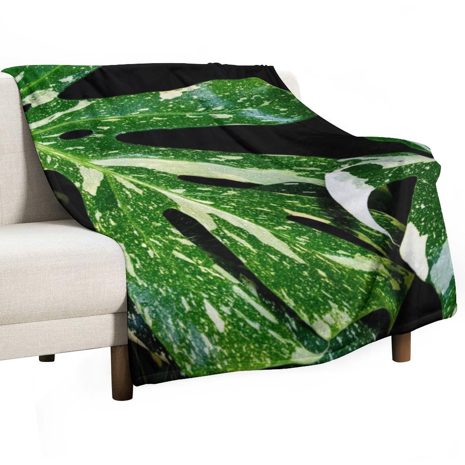 Selimut Monstera Thai Constell - Monstera Thai Constellation ulasan dan harga